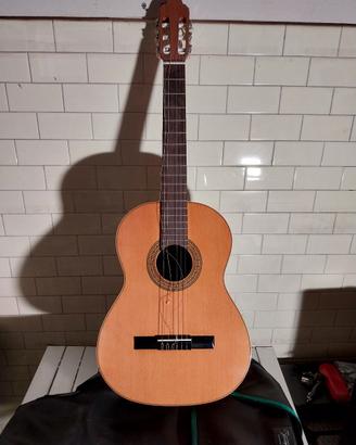 Chitarra Privada mod.P1