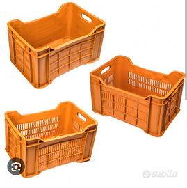 cassette in plastica per frutta e verdura 