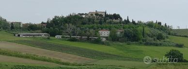 Podere castrocaro 5 ha casa in sasso