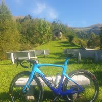 penarello dogma F 2024