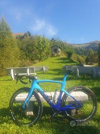 penarello dogma F 2024