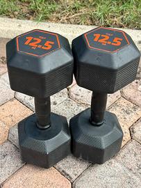 Manubri  12,5 / 15 kg