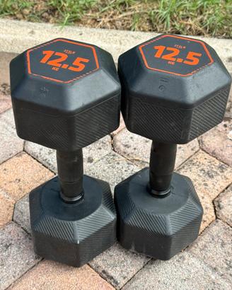 Manubri  12,5 / 15 kg