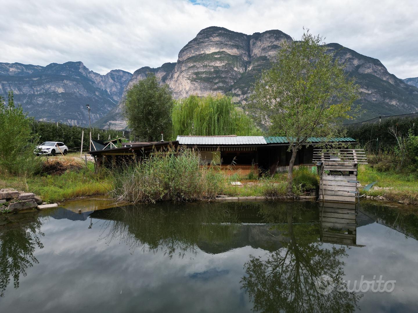 Laghetto da pesca con terreno a Salorno - Vista 5