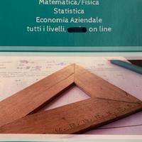 Lezioni ripetizioni matematica fisica economia