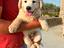 Immagine 4