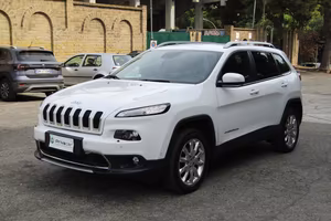 JEEP Cherokee 2.2 Mjt II 4WD Active Drive I Limite