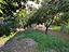 Immagine 28