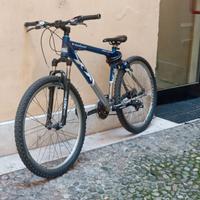 Bici violini bikelife—enduro