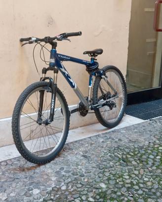 Bici violini bikelife—enduro