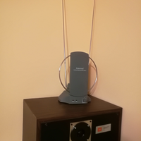 Antenna amplificata