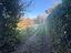 Immagine 10