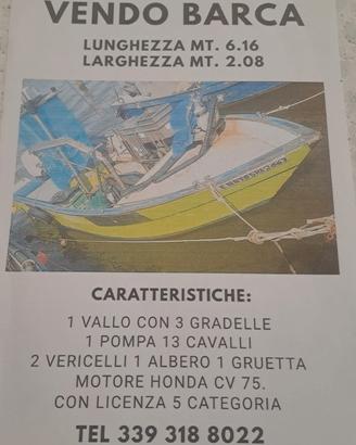 BARCA DA VONGOLE 5' CAT.