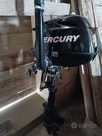 Gommone e motore mercury