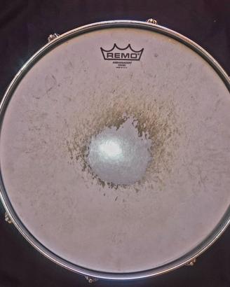 Rullante Pearl Forum Series + pelle in omaggio