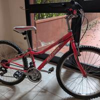 Bici Atala Butterfly 24 pollici