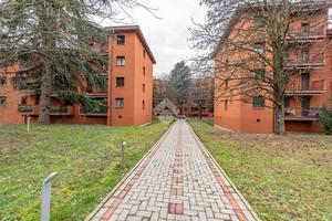3 LOCALI A ARESE