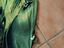 Immagine 2