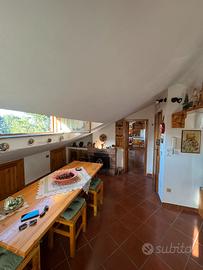 Appartamenti panoramici - Camigliatello Silano