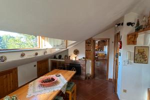 Appartamenti panoramici - Camigliatello Silano