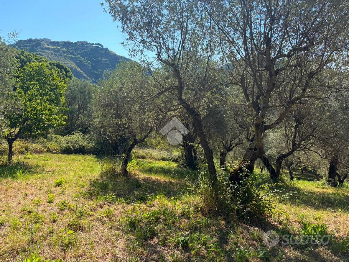 TER. AGRICOLO A SALISANO - Altro
