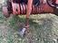 Immagine 13