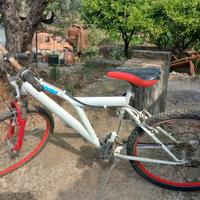 Bici Mountain bike "26 - Cambio SHIMANO