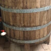 Tino 6 quintali in castagno 