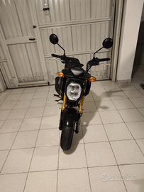 Honda Grom 125