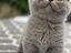 Immagine 5