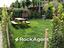 Immagine 25