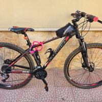 MTB Mountain Bike Whistele 29