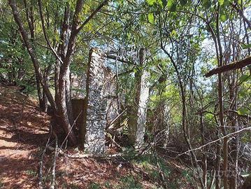 Immobile in asta di 349090 m² a Pallare