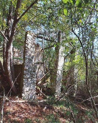 Immobile in asta di 349090 m² a Pallare