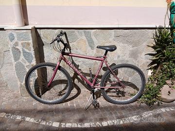 mountain bike uomo