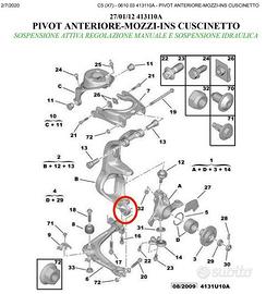 Silent Block Nuovi Anteriori Citroen C5