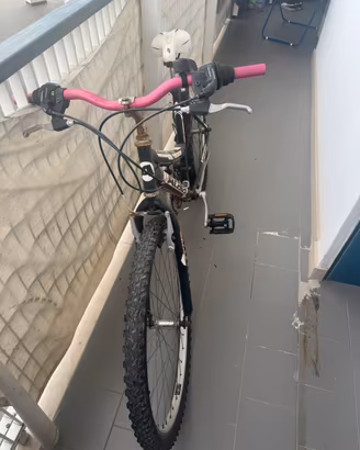 Bicicletta per ragazzine