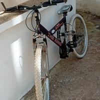 bici rara