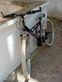 bici rara