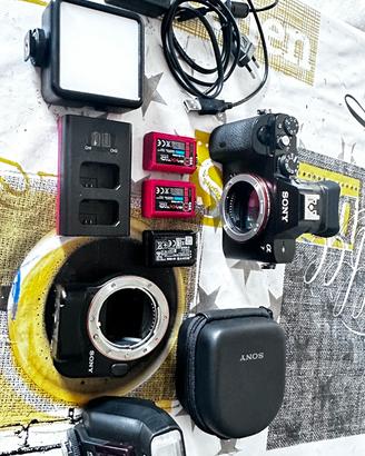 Set fitografico completo
