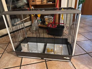 Gabbia cocorite/uccelli