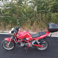 moto suzuki