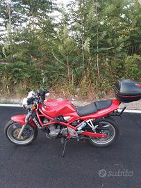 moto suzuki