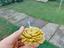 Immagine 1