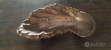 Centrotavola a forma di conchiglia