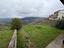 Immagine 28
