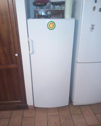 frigo smeg