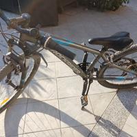 bicicletta mtb