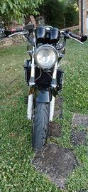 Honda hornet 600