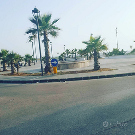 Grazioso appartamento